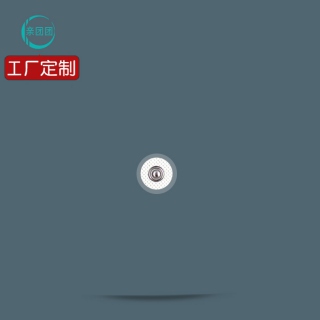 【单片】1.5cm圆形直径小型小号 扣式 电极片